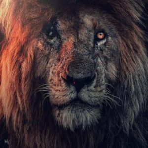 Scarface: The Legendary Lion of the Maasai Mara